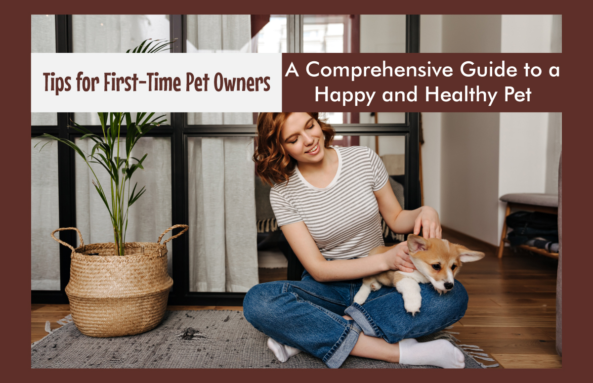 7 Tips for First-Time Pet Owners: A Comprehensive Guide to a Happy and Healthy Pet