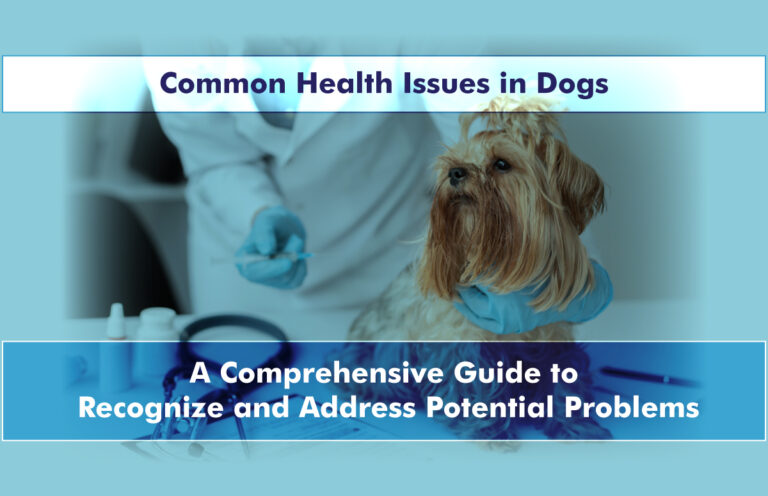 Common Health Issues in Dogs: A Comprehensive Guide to Recognize and Address Potential Problems
