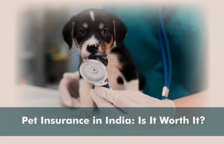 Pet Insurance in India: Is It Worth It?
