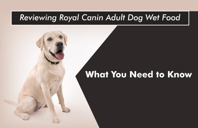 Royal-Canin-Adult-Dog-Wet-Food-Review