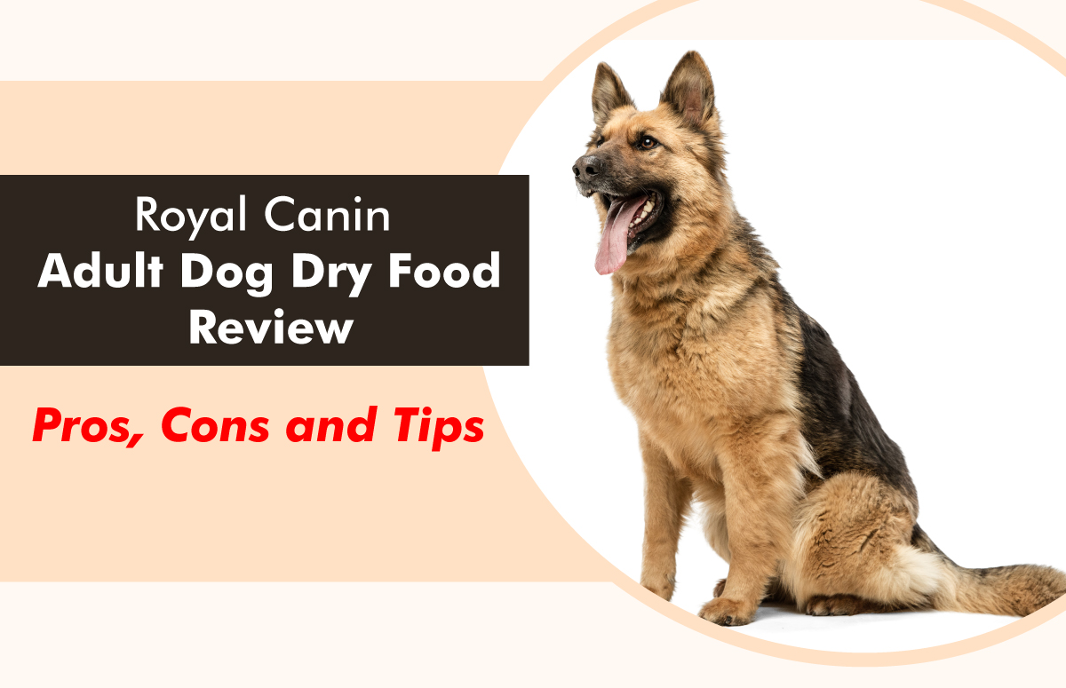 Royal Canin Adult Dog Dry Food Review: Pros, Cons and Tips