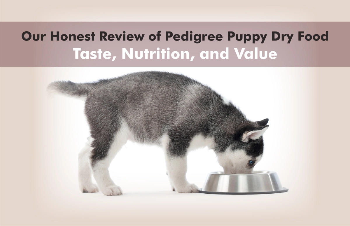 Our Honest Review of Pedigree Puppy Dry Food: Taste, Nutrition, and Value