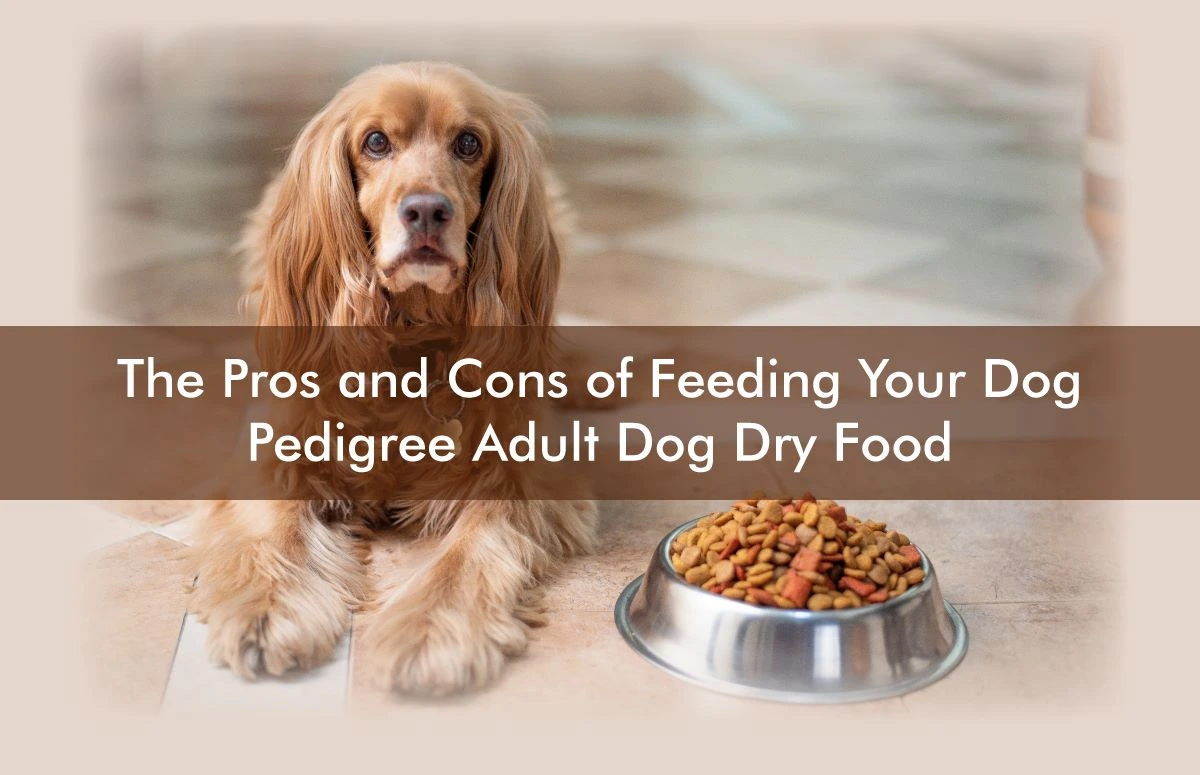 The Pros and Cons of Feeding Your Dog    Pedigree Adult Dog Dry Food
