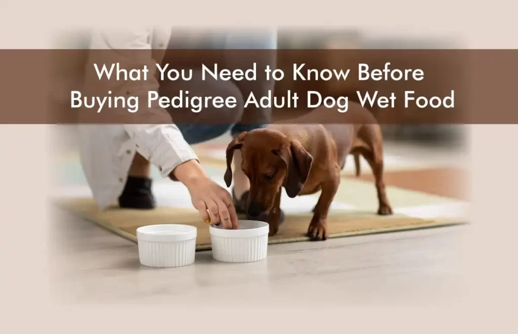 Image of a dog eating PEDIGREE ADULT DOG WET FOOD