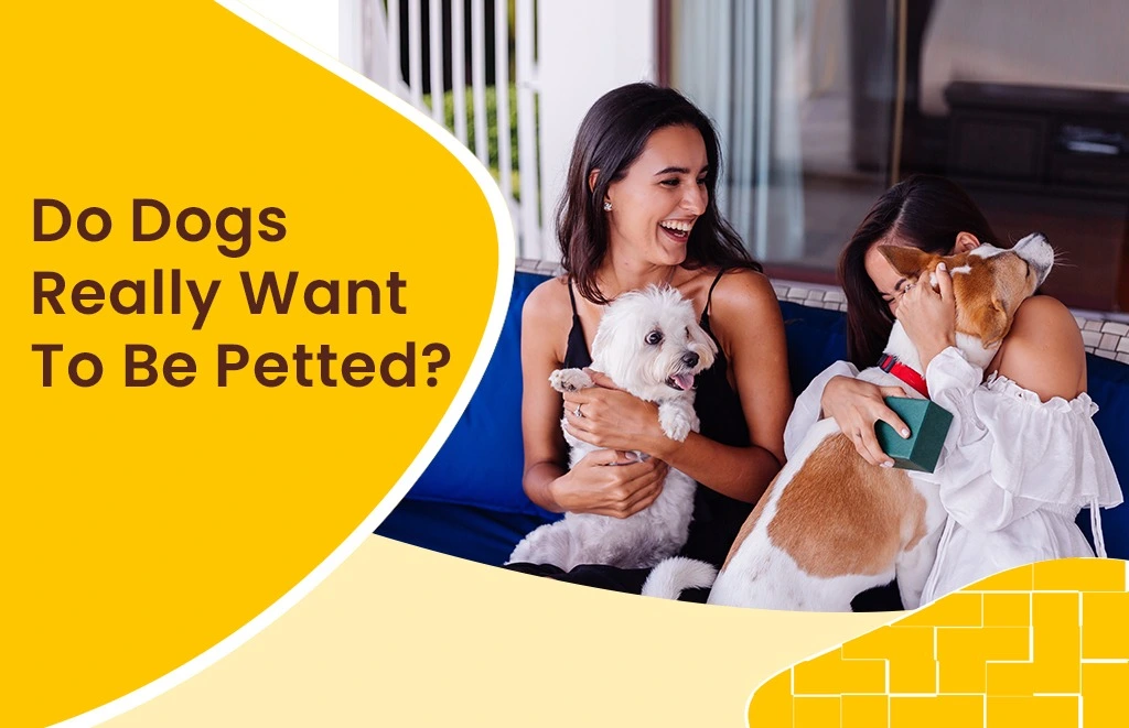 Do Dogs Really Want To Be Petted?