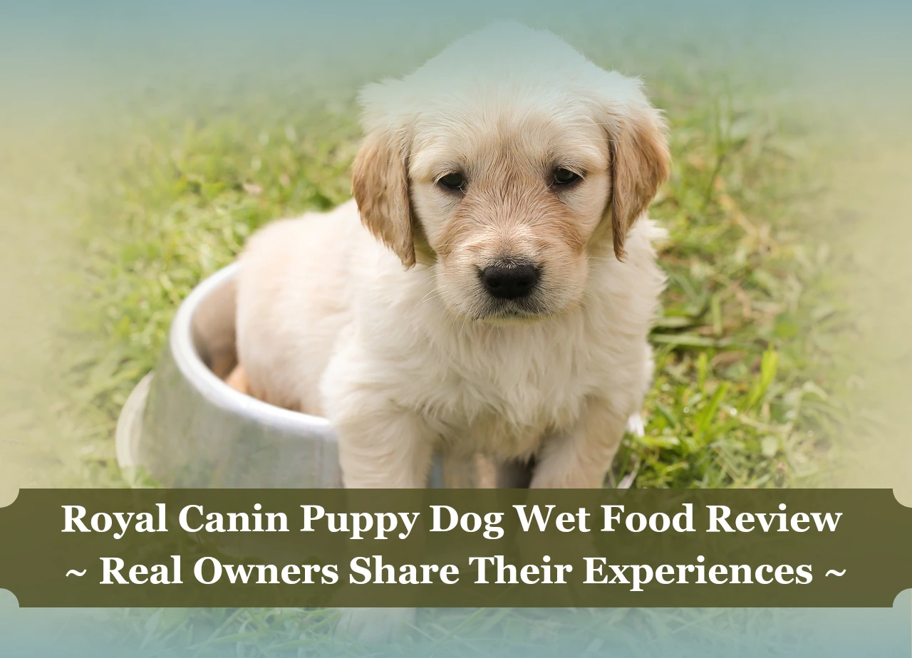 Royal Canin Puppy Dog Wet Food Review: Real Owners Share Their Experiences