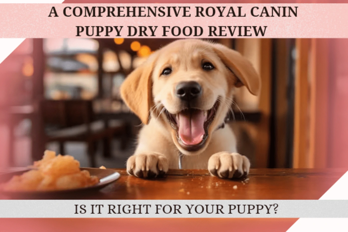 A Comprehensive Royal Canin Puppy Dry Food Review: Is It Right for Your Puppy?