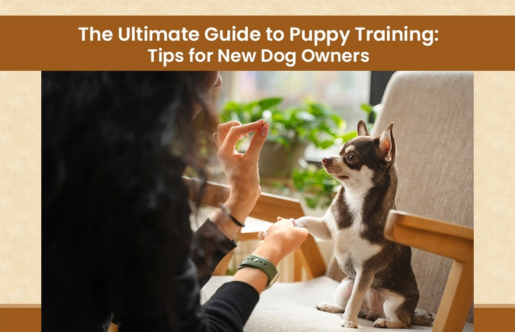 The Ultimate Guide to Puppy Training: Tips for New Dog Owners