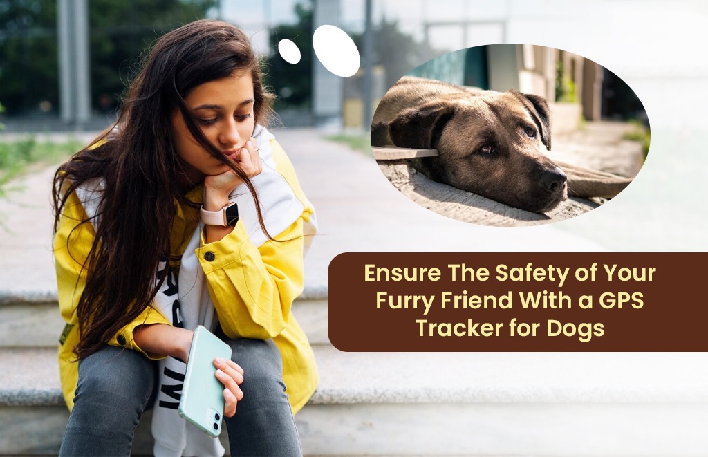 Ensure the Safety of your Furry Friend With a GPS Tracker for Dogs