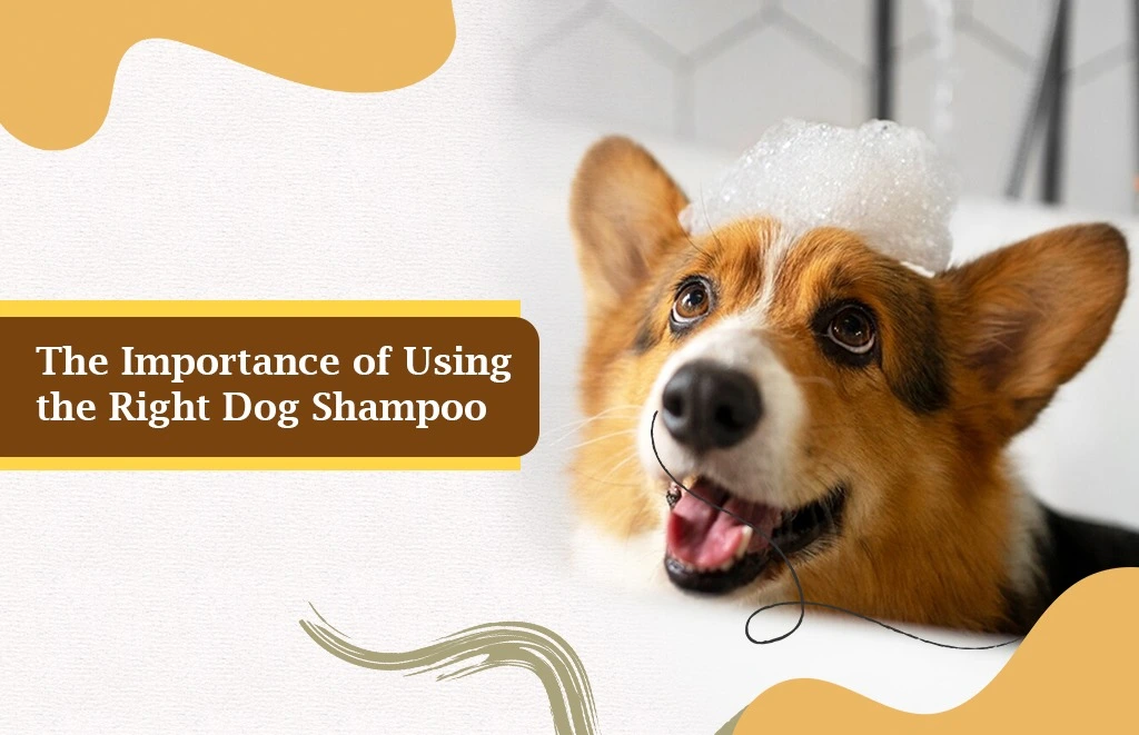 Joyful Dog with Shampoo Foam on Head Enjoying Bath Time