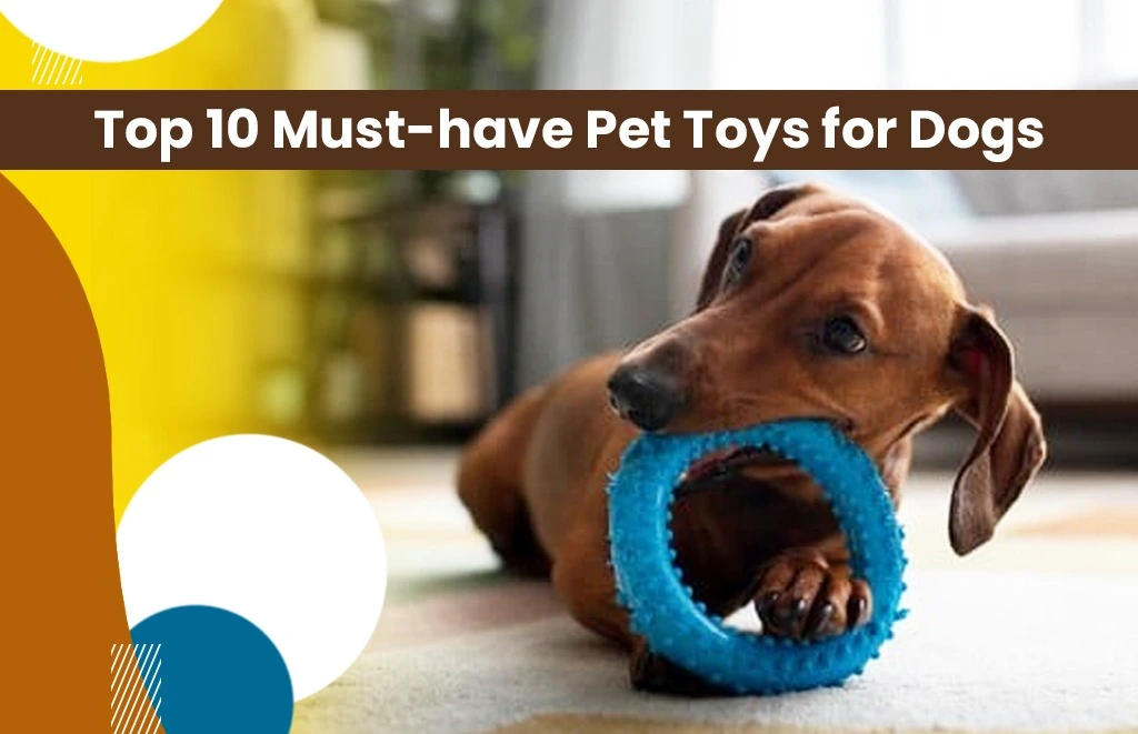 Top 10 Must-Have Pet Toys for Dogs
