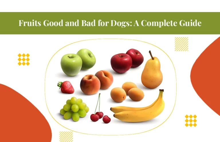 fruits good and bad for dogs
