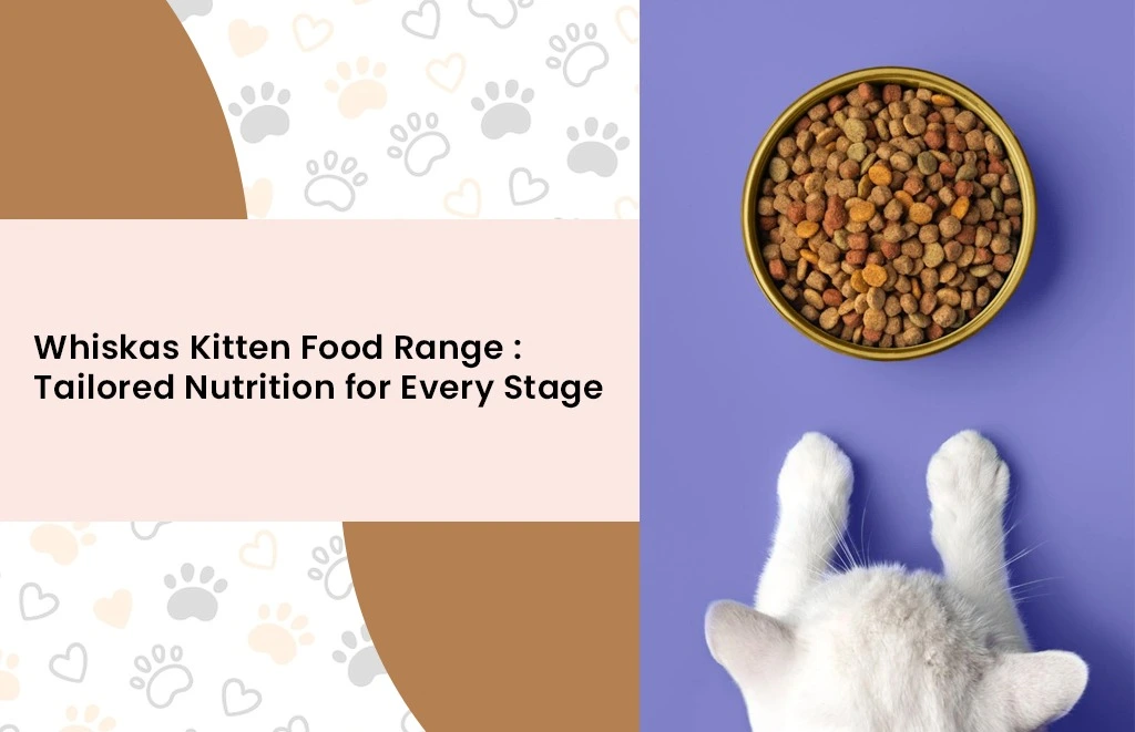 Whiskas Kitten Food Range: Tailored Nutrition for Every Stage