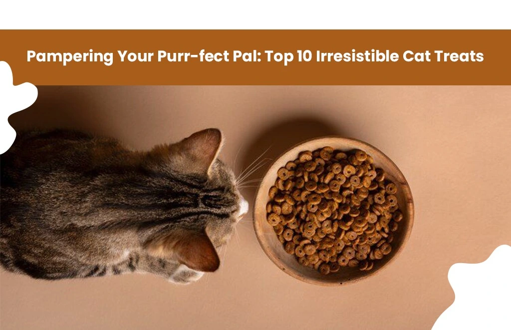 Pampering Your Purr-fect Pal: Top 10 Irresistible Cat Treats