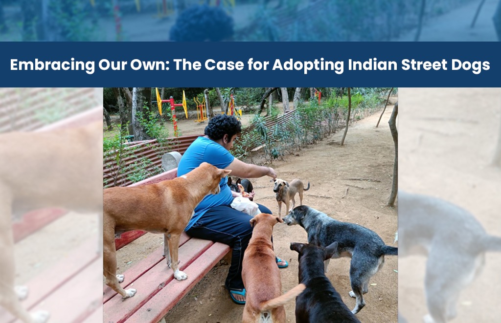 embracing our own own case of adopting street dog