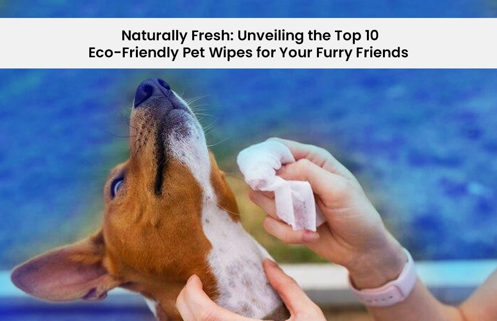 A happy dog letting his face clean with pet wipes